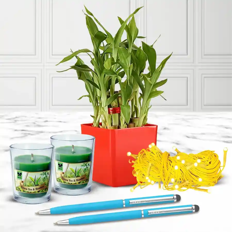 A beautifully arranged gift combo featuring a 2-tier Bamboo Plant, two Aroma Shot Candles, LED Chain Lights, and sleek ballpoint pens, all presented in an inviting setting.