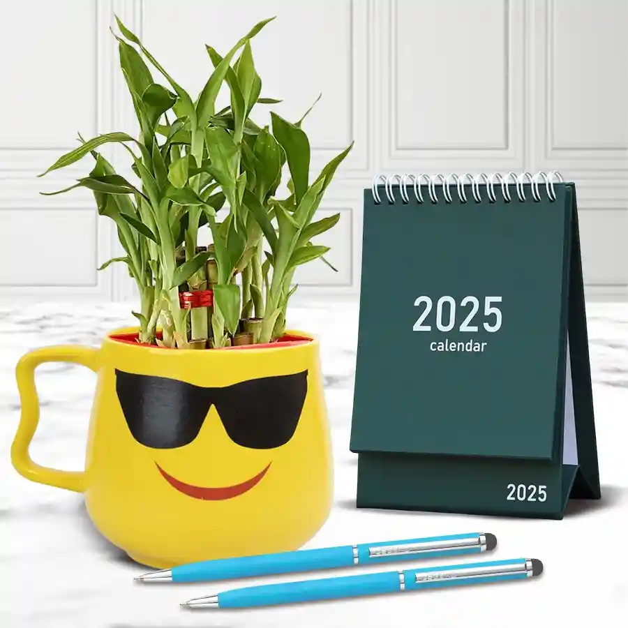 Amazing Plants Gift Hamper featuring two lucky bamboo plants in smiley cups, a stylish desk calendar, and two sleek ballpoint pens.