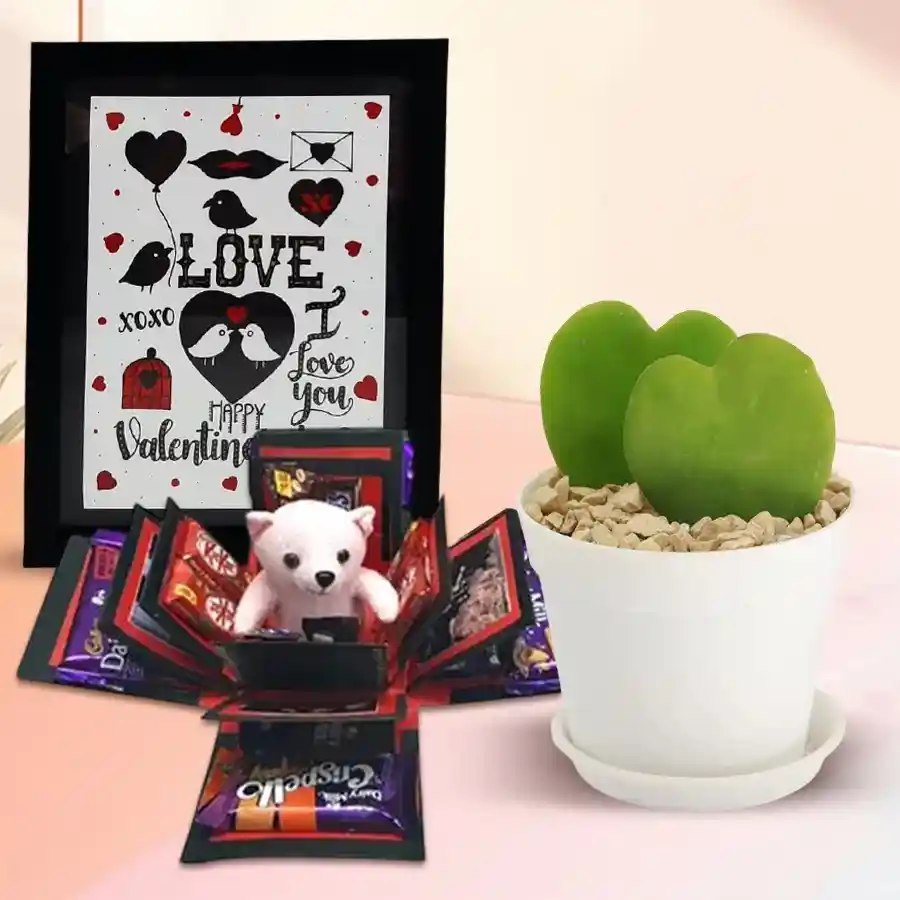 Handcrafted Love Frame with personalized Explosion Box and Hoya Heart Plant on display