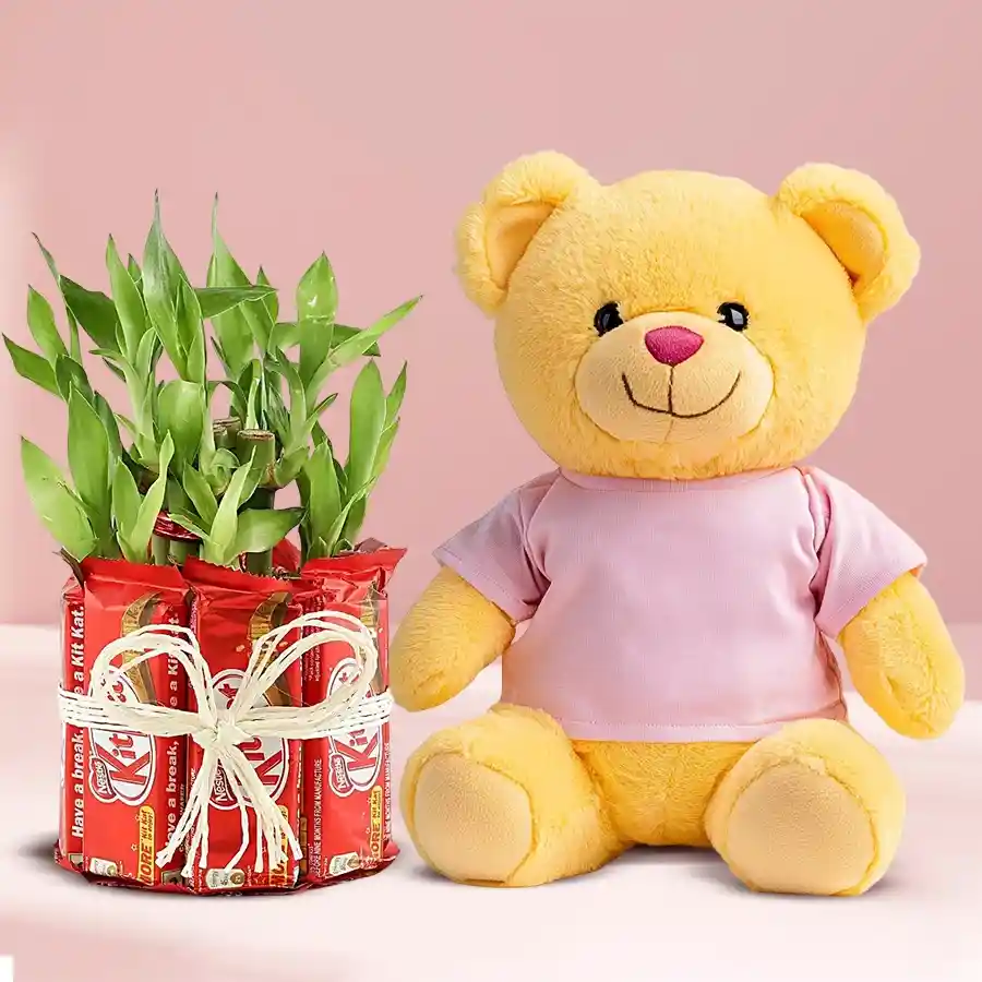 Exquisite Propose Day combo featuring a 40cm teddy bear, a box of 10 KitKat chocolates, and a 2-tier Lucky Bamboo plant.