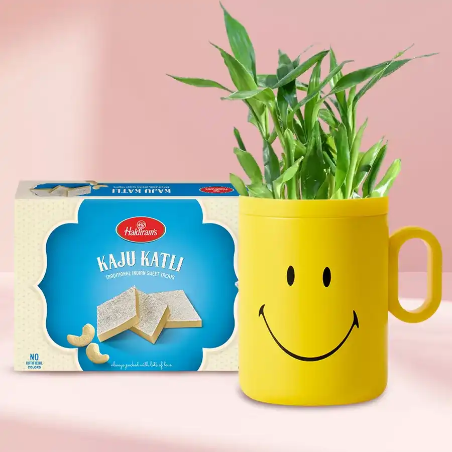Smiley mug with a 2-layer bamboo plant and a box of Kaju Katli nestled beside it