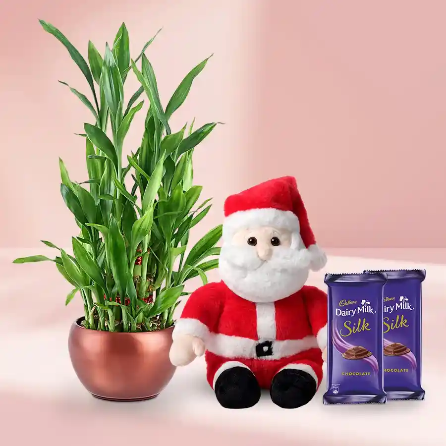Ambrosial Christmas Gift Hamper featuring Cadbury Silk chocolates, a Lucky Bamboo Plant, and a Santa soft toy