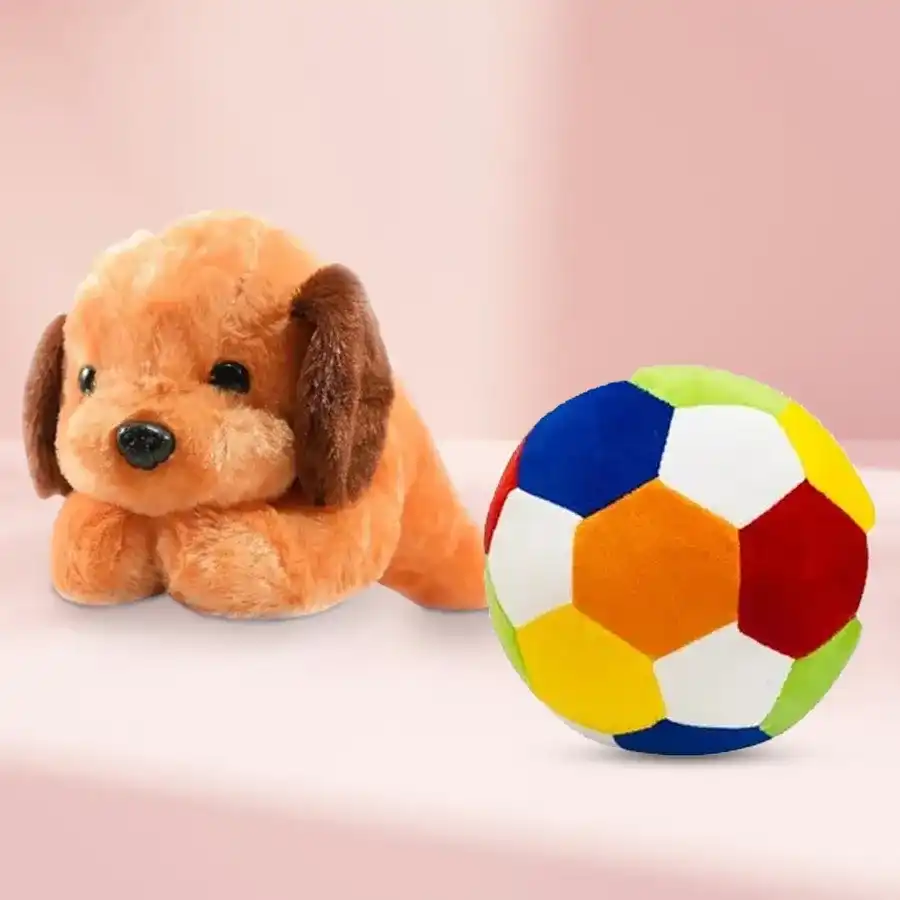 Adorable Dog and Ball Soft Toy Gift Set for Kids featuring a lovable brown dog push toy and a soft rattle-filled ball on a colorful background.