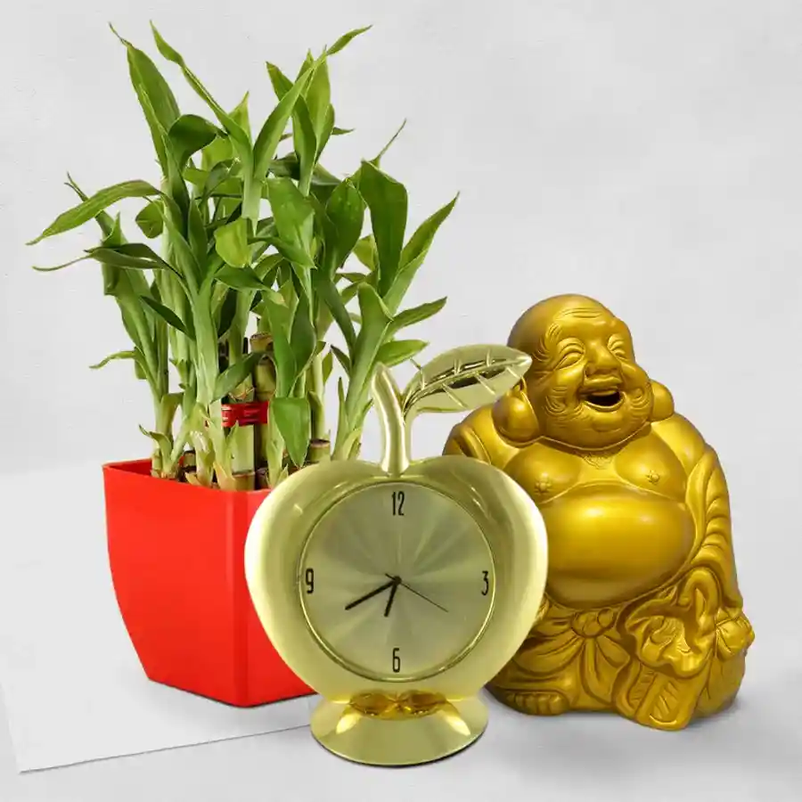 Hearty hamper featuring a 2 tier Lucky Bamboo plant, a Golden Laughing Buddha, and a Golden Apple Shaped Metal Table Clock arranged together in an elegant presentation.
