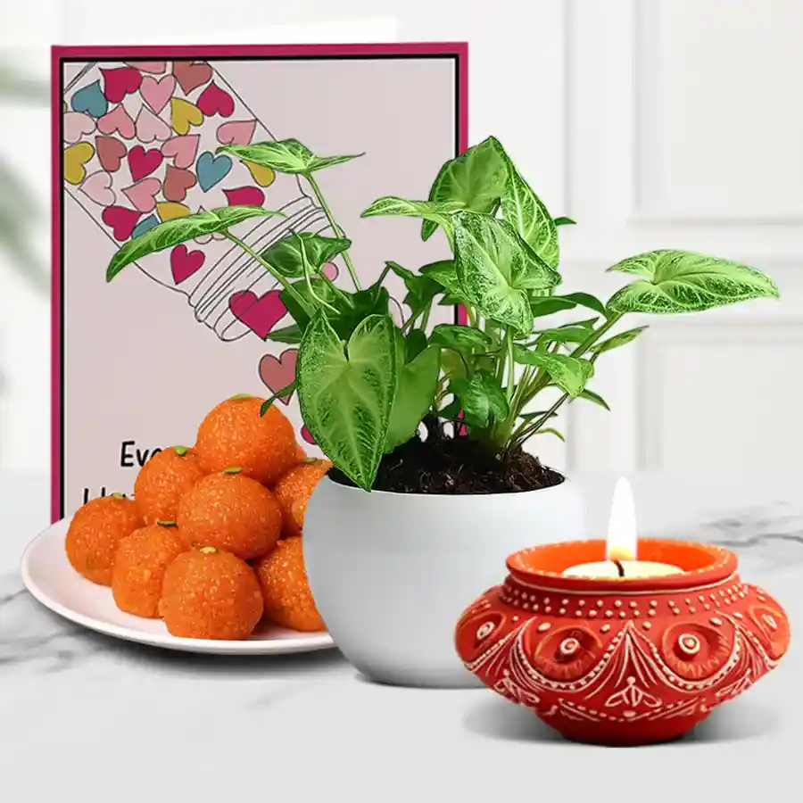 Diwali gift box containing a Diya, Syngonium plant, Motichoor Laddu, crunchy granola, and a message card.