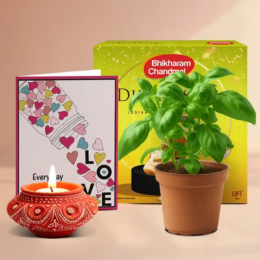 Diwali gift hamper featuring a diya, a box of sweets, and a basil plant in a pot