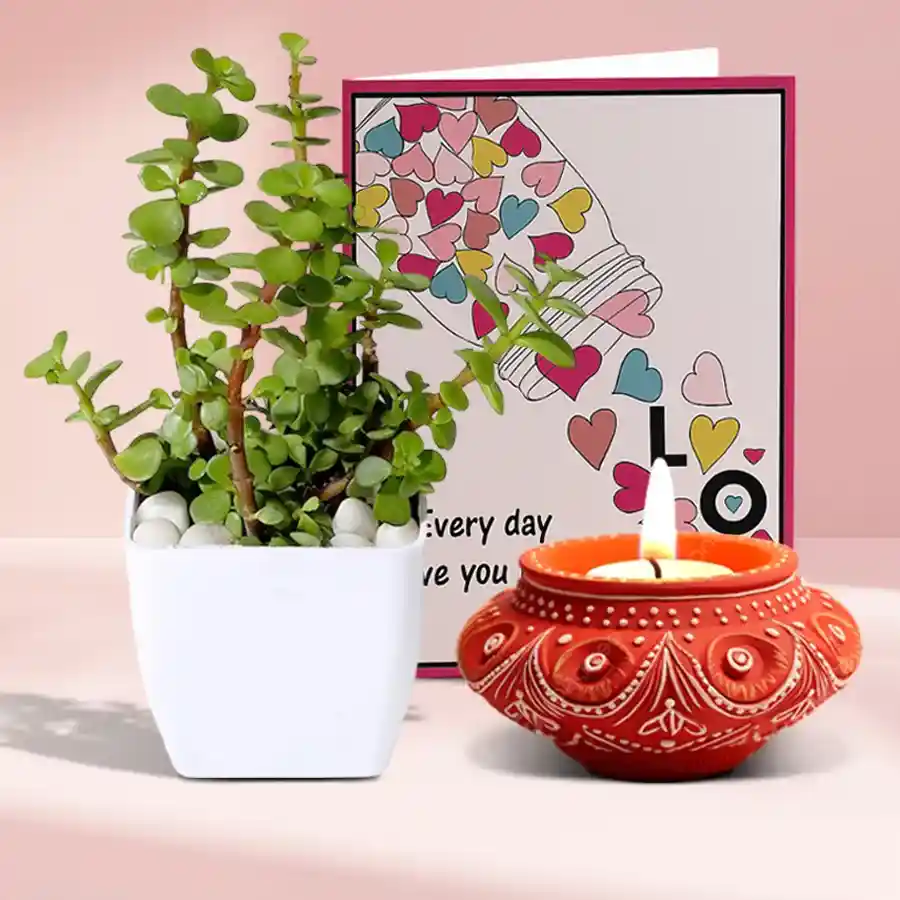 Green And Light Hamper for Diwali celebration featuring a Diya, a Jade Plant in a stylish pot, and a free message card.