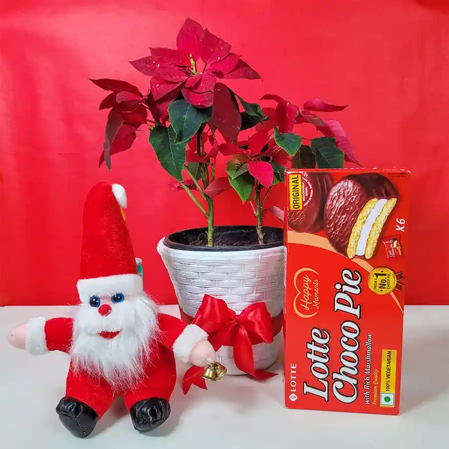 Perfect Christmas Bliss Hamper featuring a poinsettia plant, Lotte Choco Pies, and a Santa Claus soft toy arranged in a festive display.