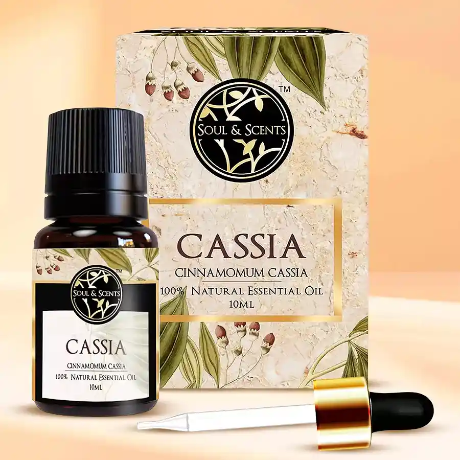 A beautifully packaged 10ml bottle of Divine Delight Cassia Essential Oil with warm, spicy cinnamon notes, alongside festive decorations.