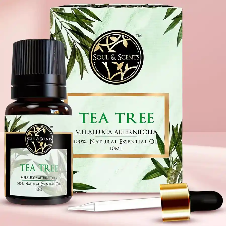 Bottle of Divine Tea Tree Essential Oil with a refreshing green and white label on a wooden surface.