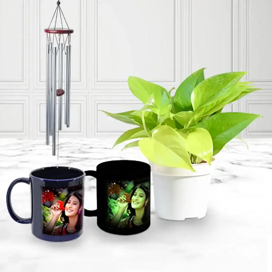 Impressive Personalized Photo Radium Mug with Money Plant N Wind Chime