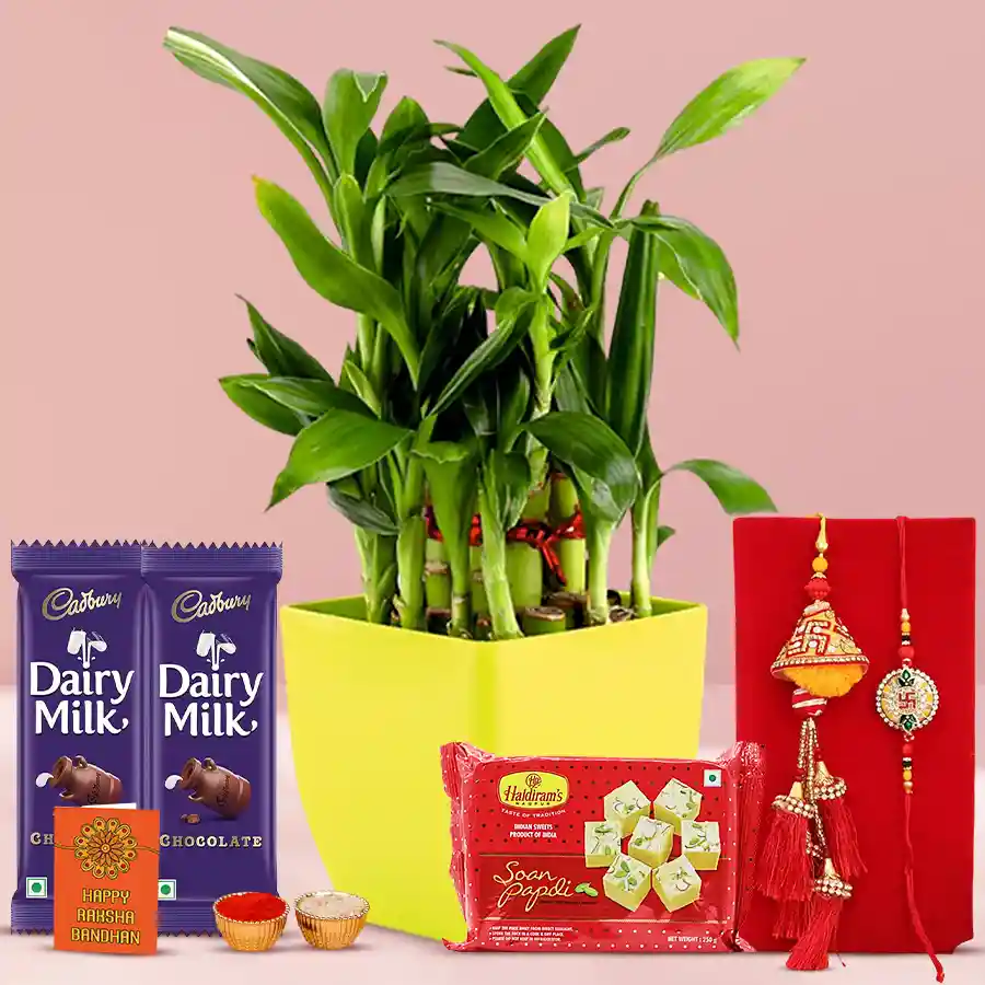 Bright 2 Tier Bamboo Plant in yellow pot with Bhaiya Bhabhi Rakhi set, Cadbury Dairy Milk chocolates, Haldiram Soan Papdi, and free Rakhi, Roli, Tika, and Chawal.