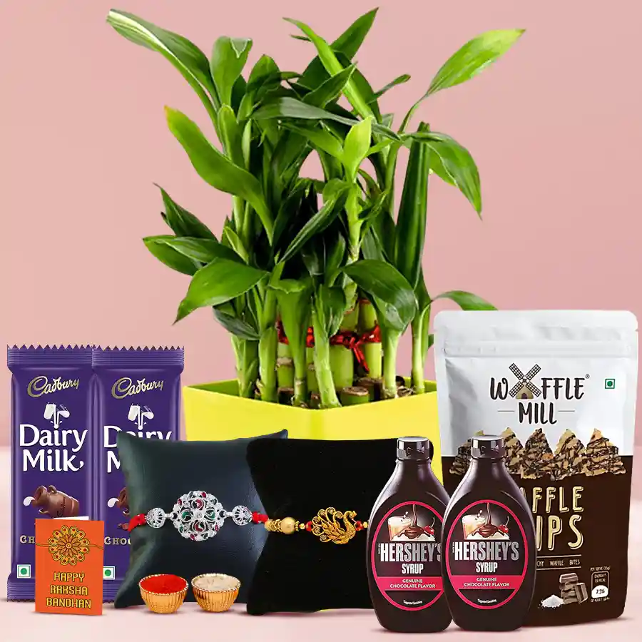 Classic Twin Rakhi and 2-Tier Bamboo Plant Combo in a sunny yellow pot with Hershey’s Chocolate Syrup and Dark Choco Waffle Chips.