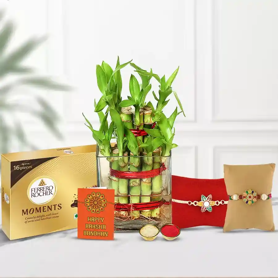 Healthy Treat 2-Tier Bamboo Plant with Duel Rakhi, Ferrero Rocher Moments, and festive accessories