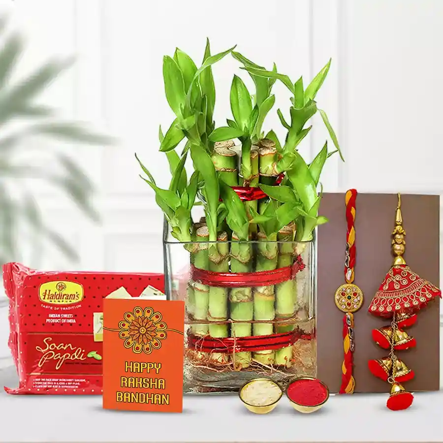 Heavenly 2 Tier Bamboo Plant N Lumba Rakhi Combo featuring a lush bamboo plant in a glass vase, a Bhaiya Bhabhi Rakhi set, and Haldiram Soan Papdi with complimentary Rakhi, Roli, Tika, and Chawal