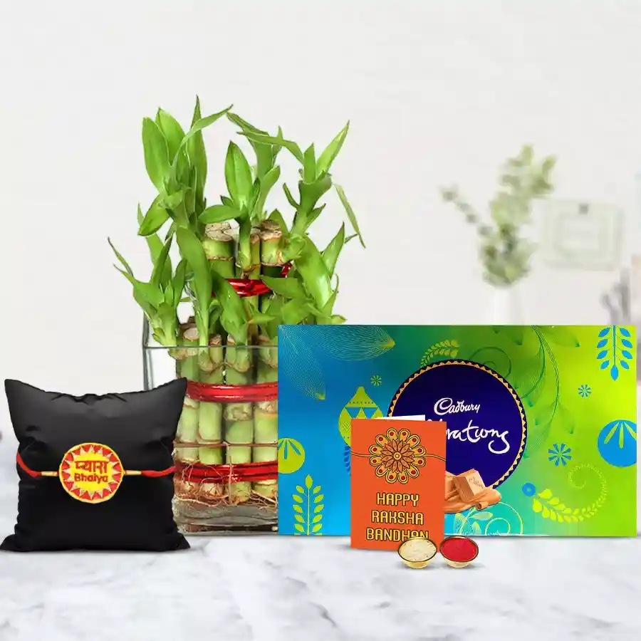 Graceful Pyare Bhaiya Rakhi N 2 Tier Bamboo Plant Combo