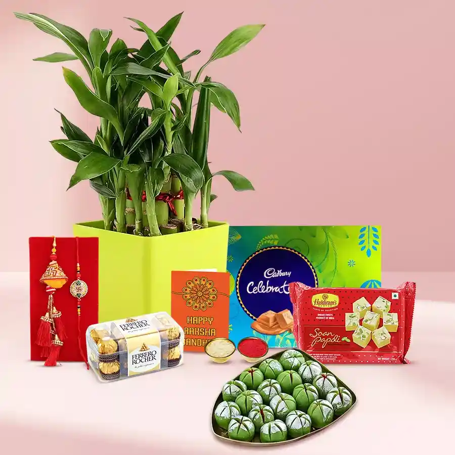 Attractive 2 Tier Bamboo Plant N Bhaiya Bhabhi Rakhi