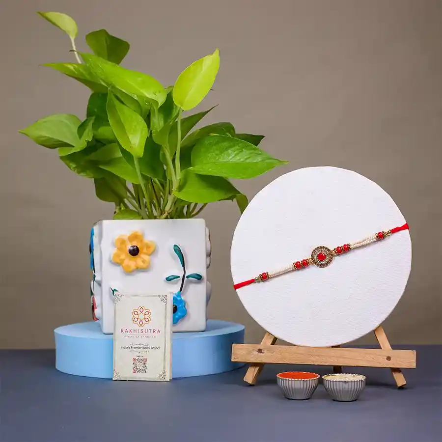 Raksha Bandhan Delight Rakhi N Plant Combo