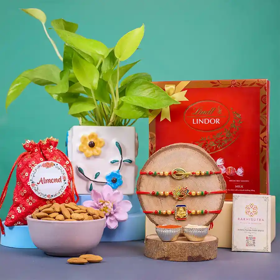 Divine Rakhi Celebration with Chocolate N Plants