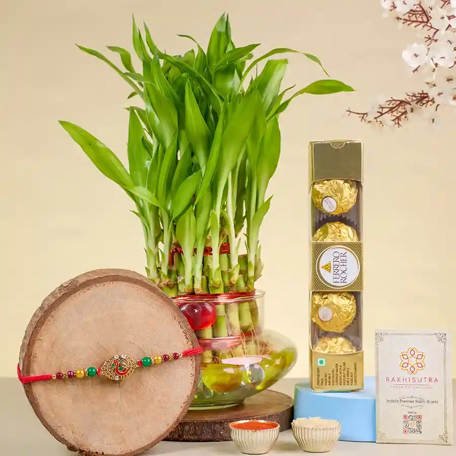 Graceful Peacock Rakhi N Choco Treats Combo