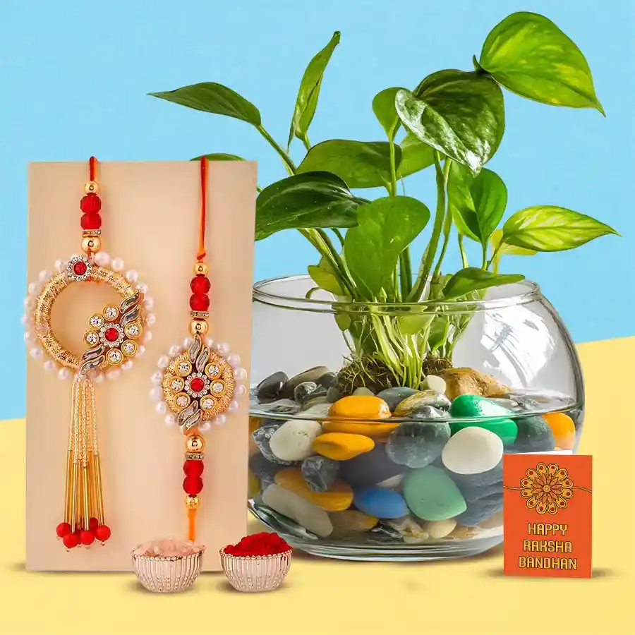 Bhaiya Bhabhi Set with Money Plant in Glass Pot