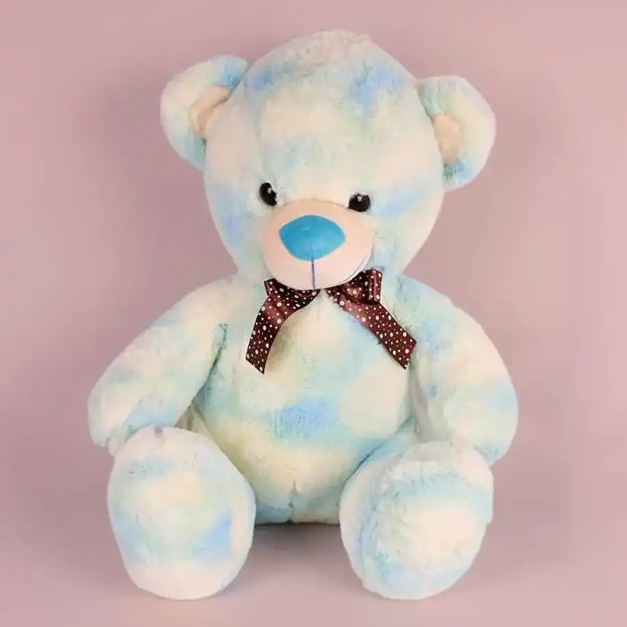 Gorgeous Multicolor Teddy