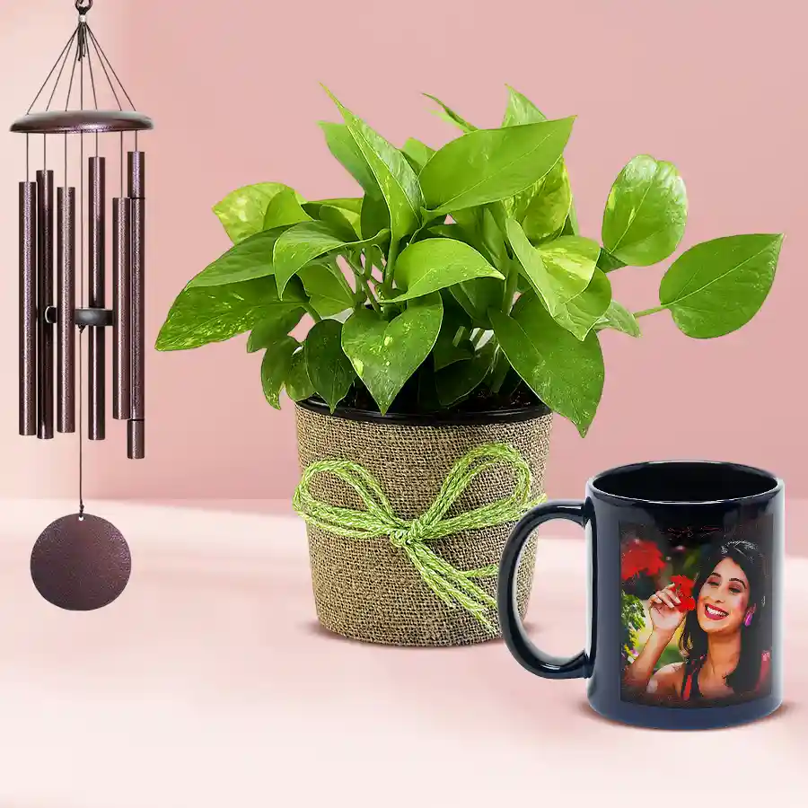 Personalized Radium Mug with Money Plant and Wind Chime Gift Set